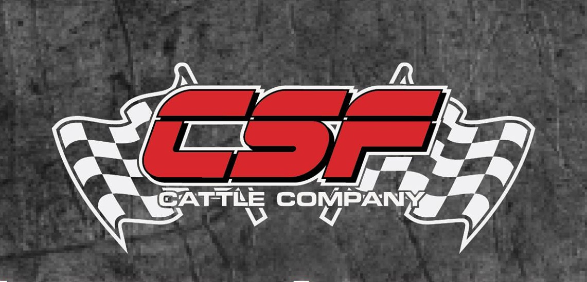 CSF Cattle Company